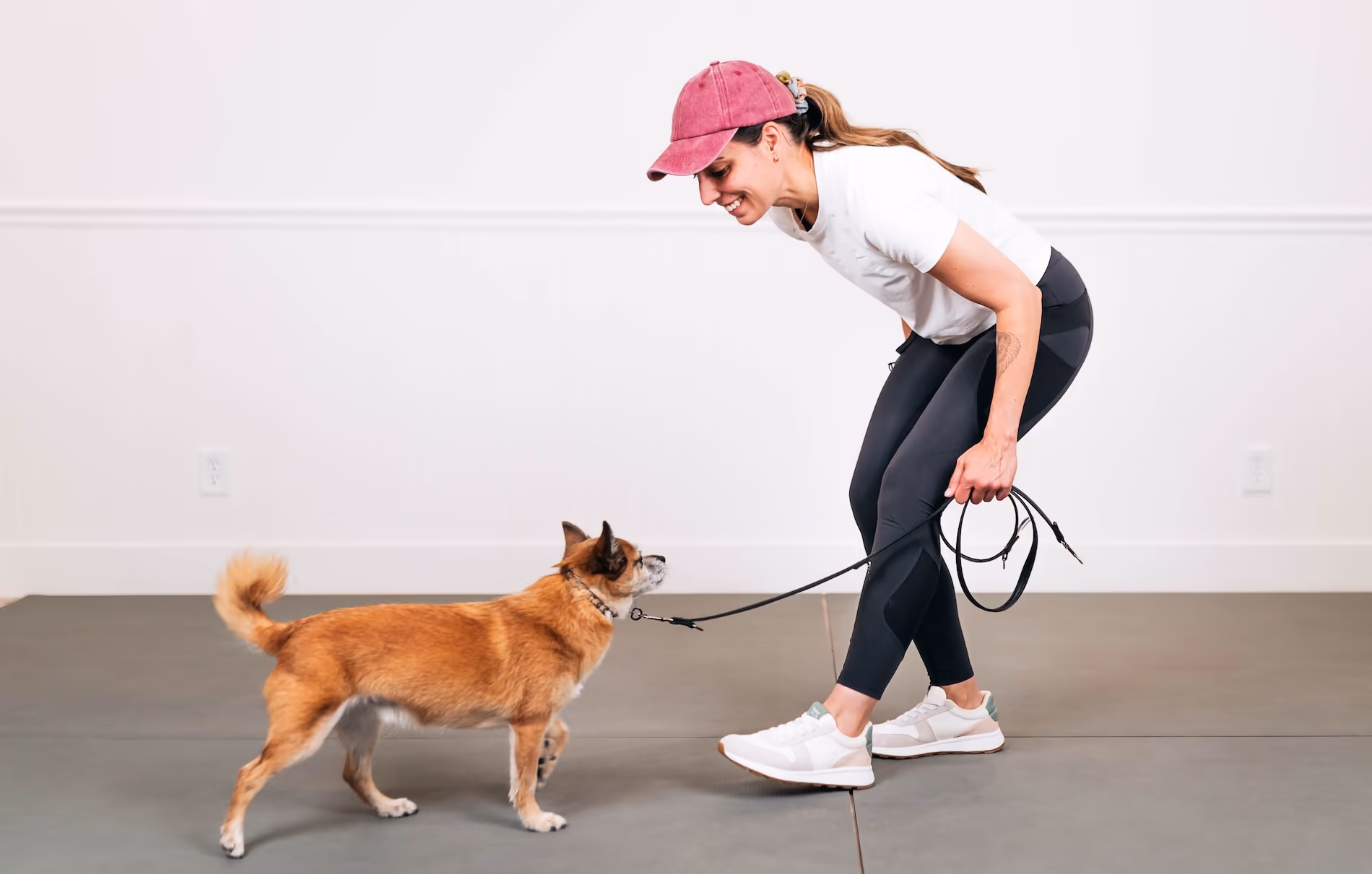 Leash Flow