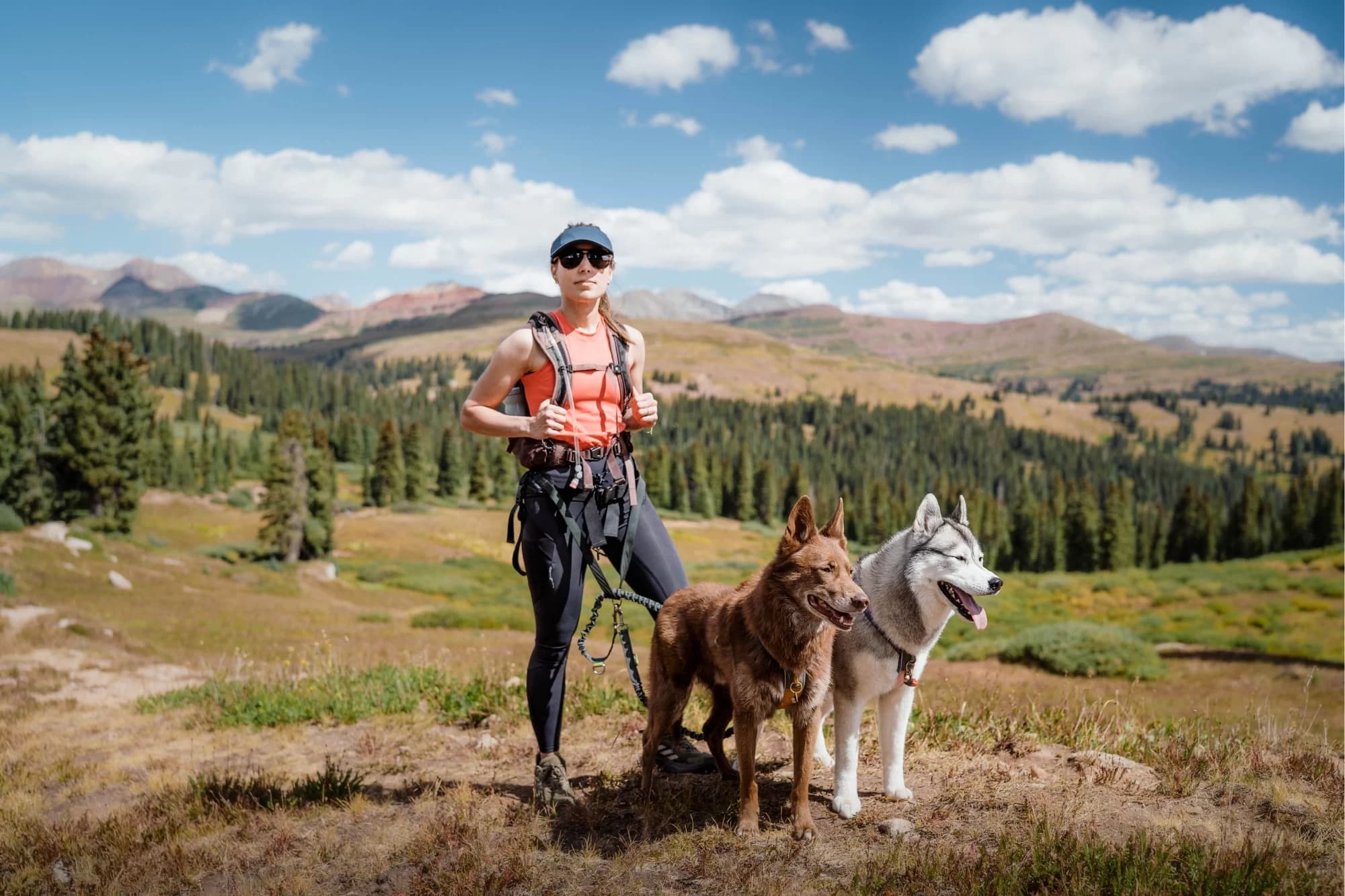 Natasha Johnson training a dog outdoors
