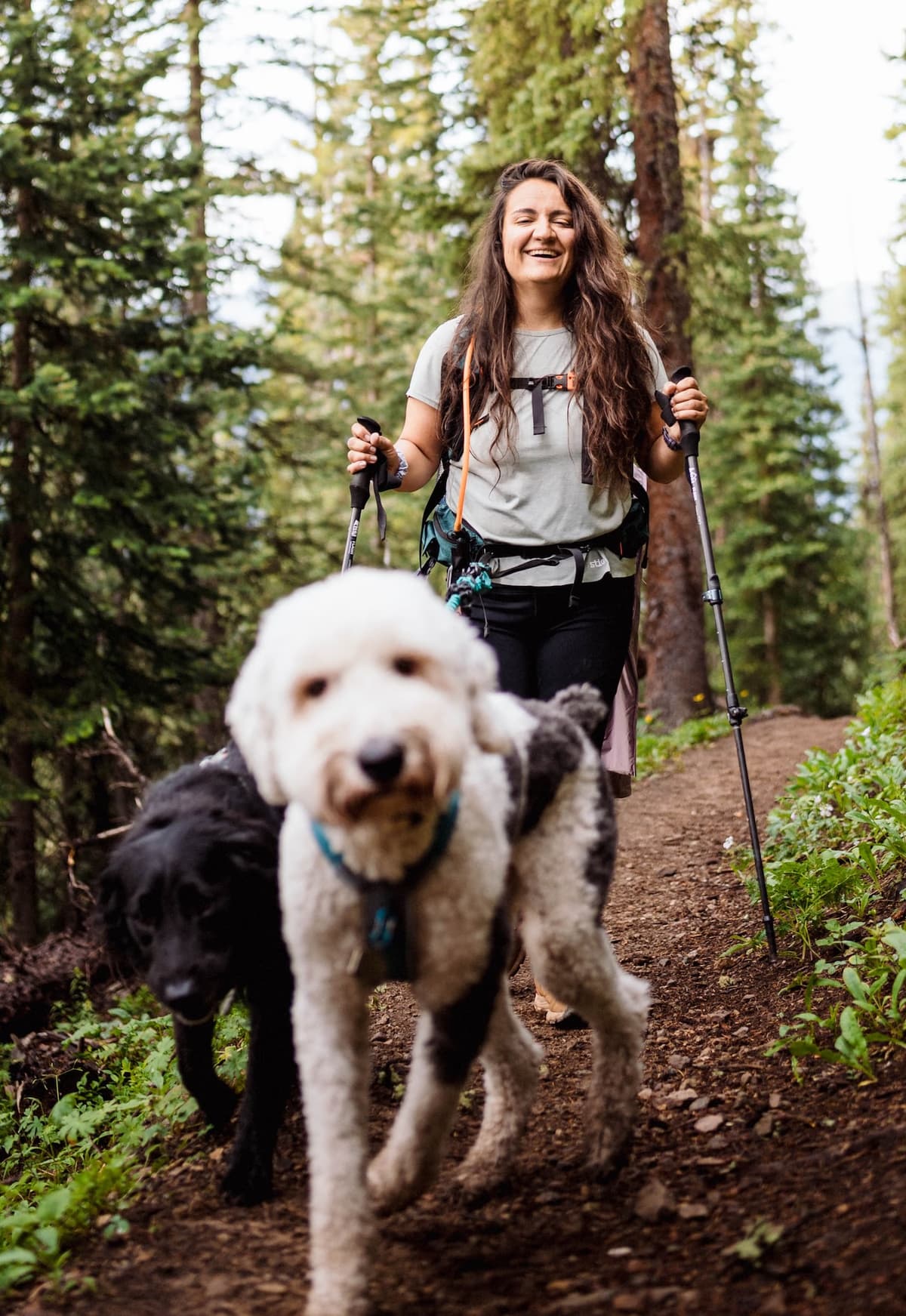 Dog owner hiking with two dogs — Canine Gains student