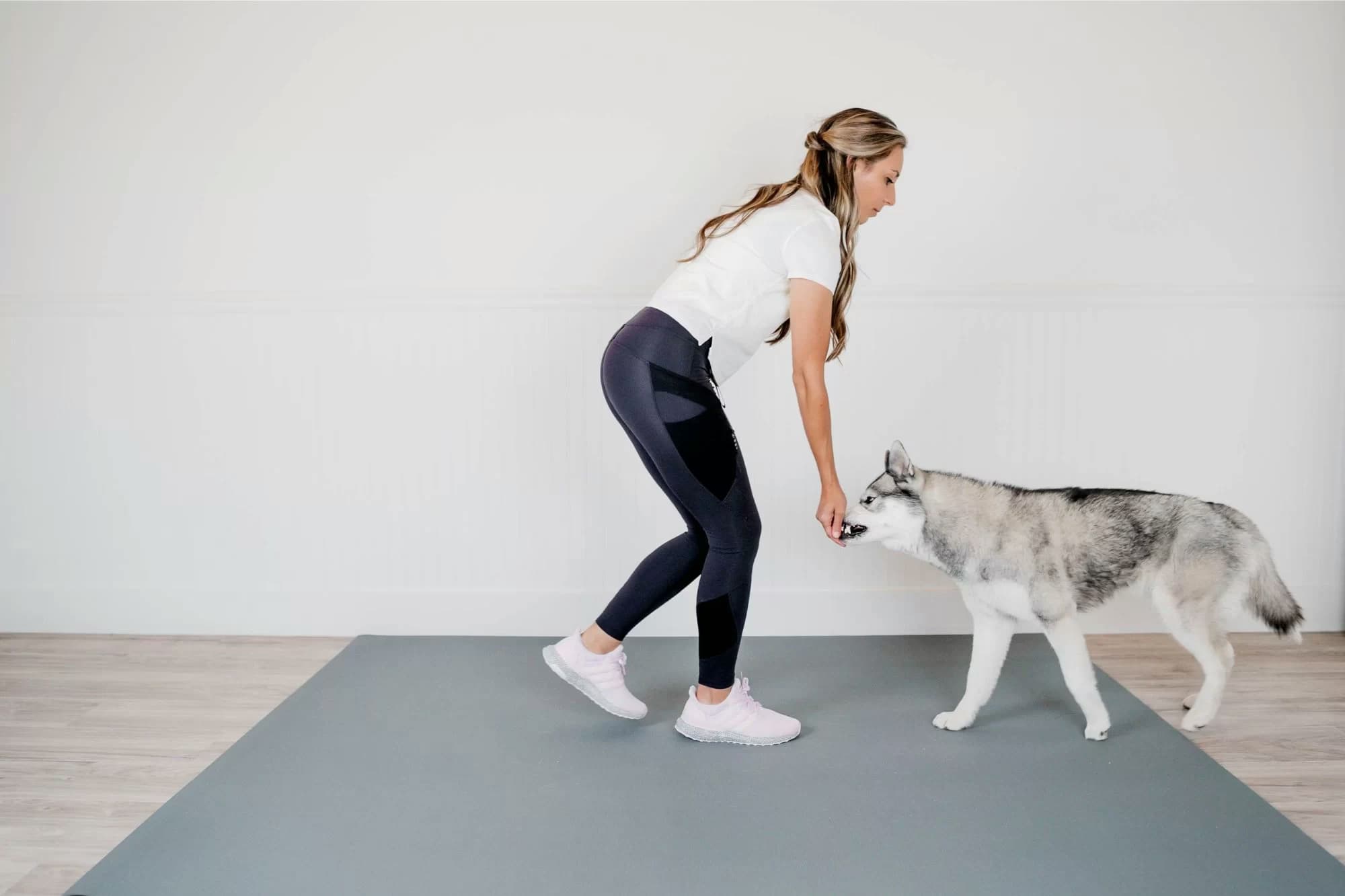 Canine Gains methodology