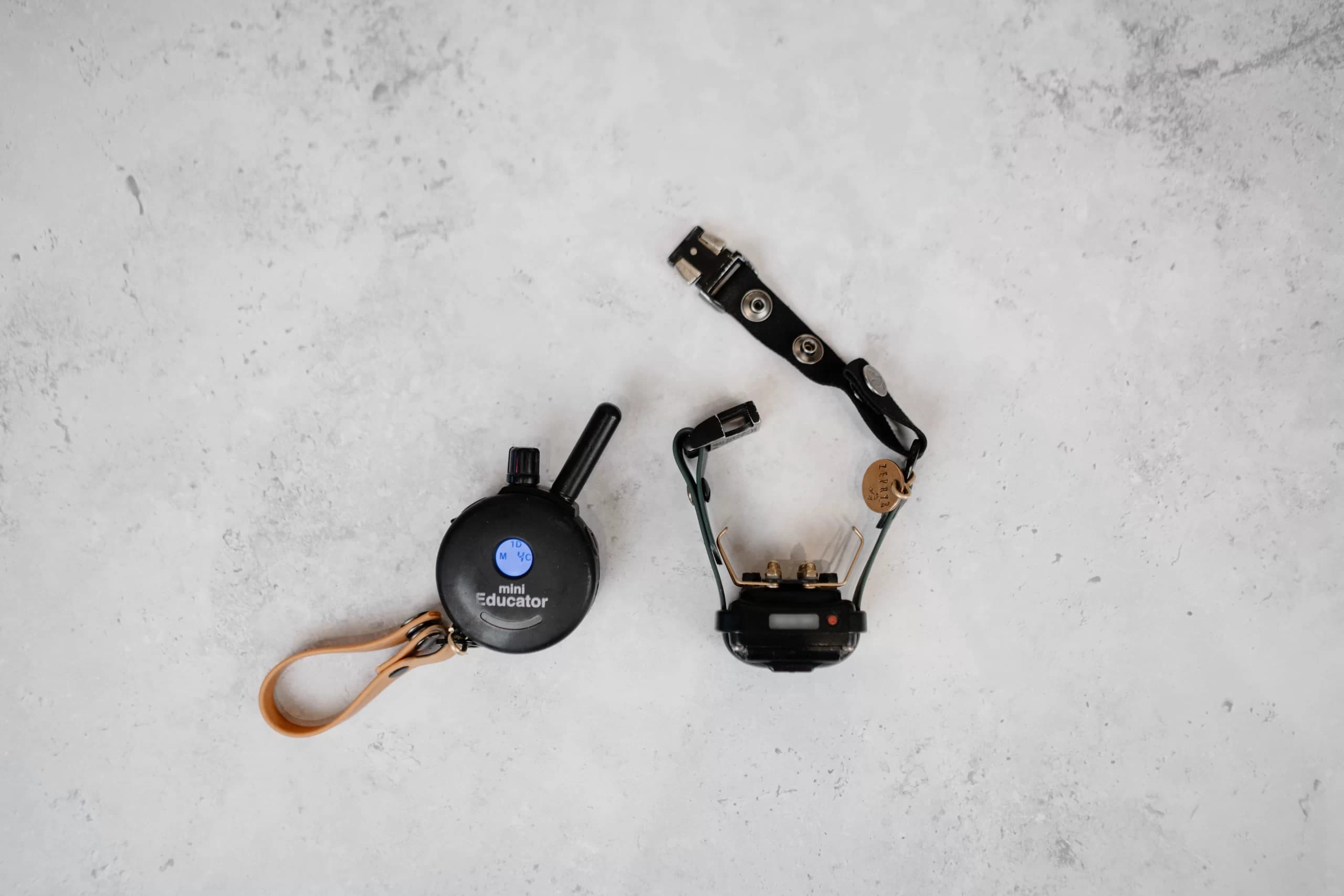 The Best E-Collar for Dogs