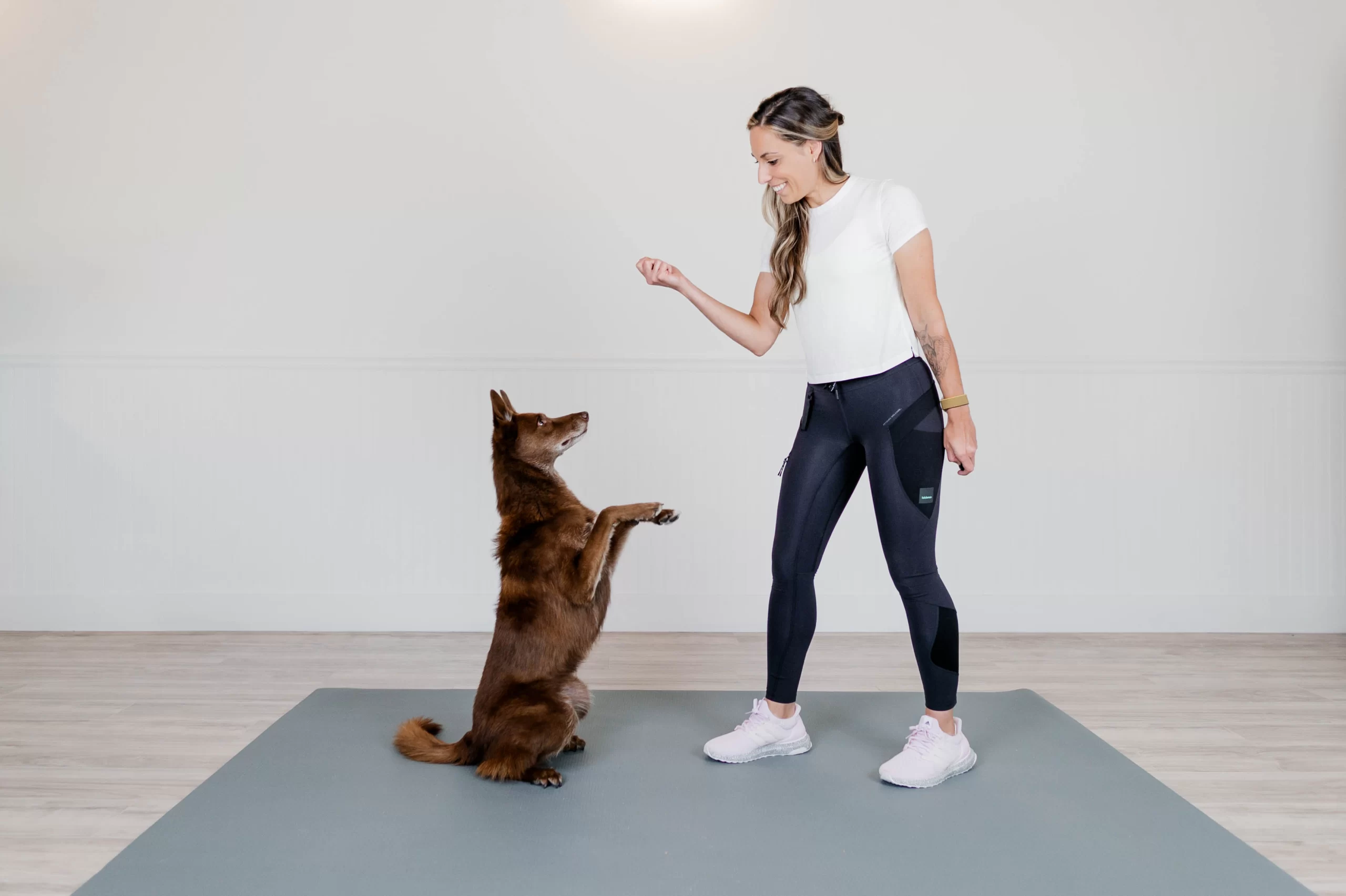 Why Marker Training Dramatically Speeds Up Your Dog's Learning