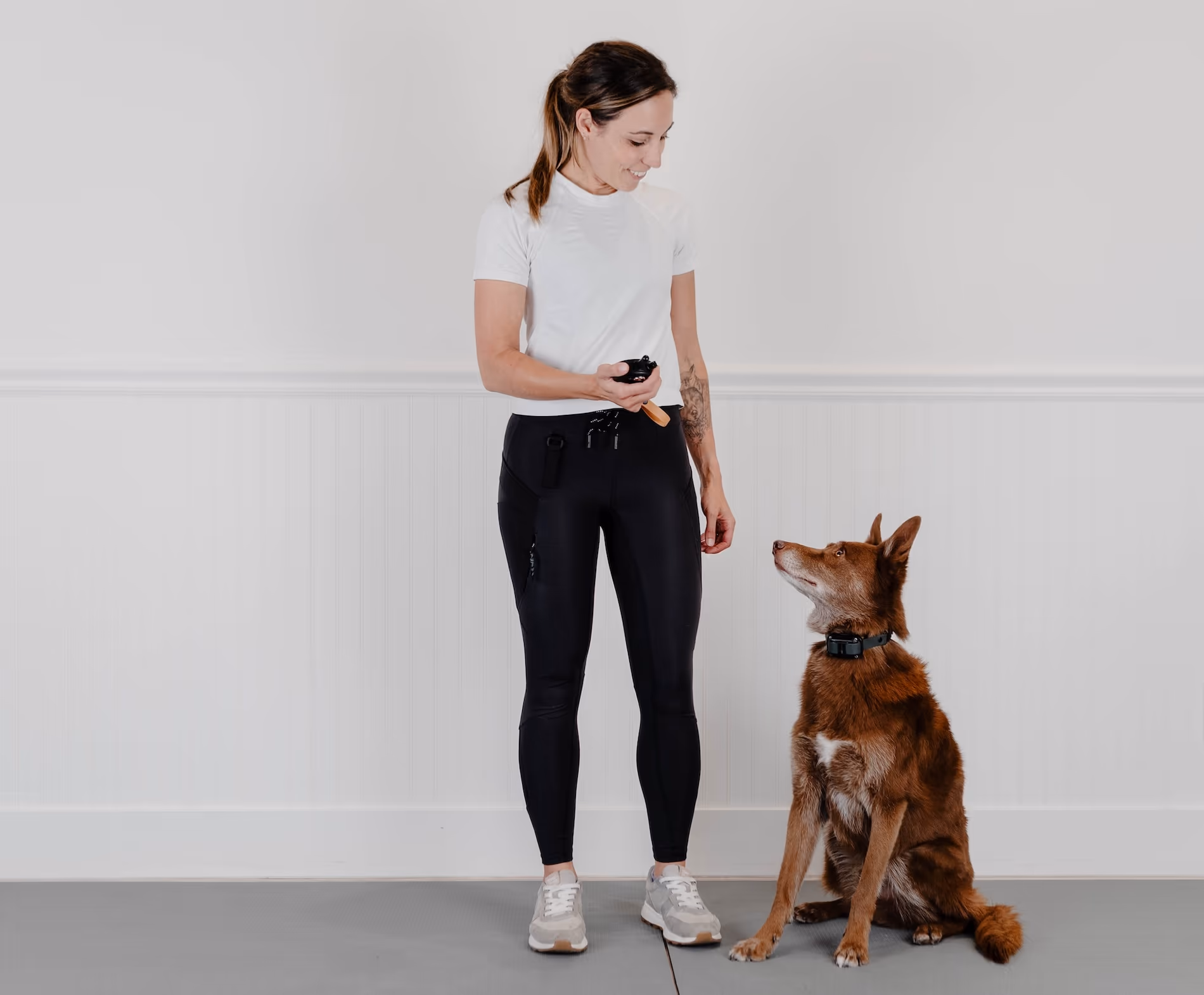 Collar Conditioning