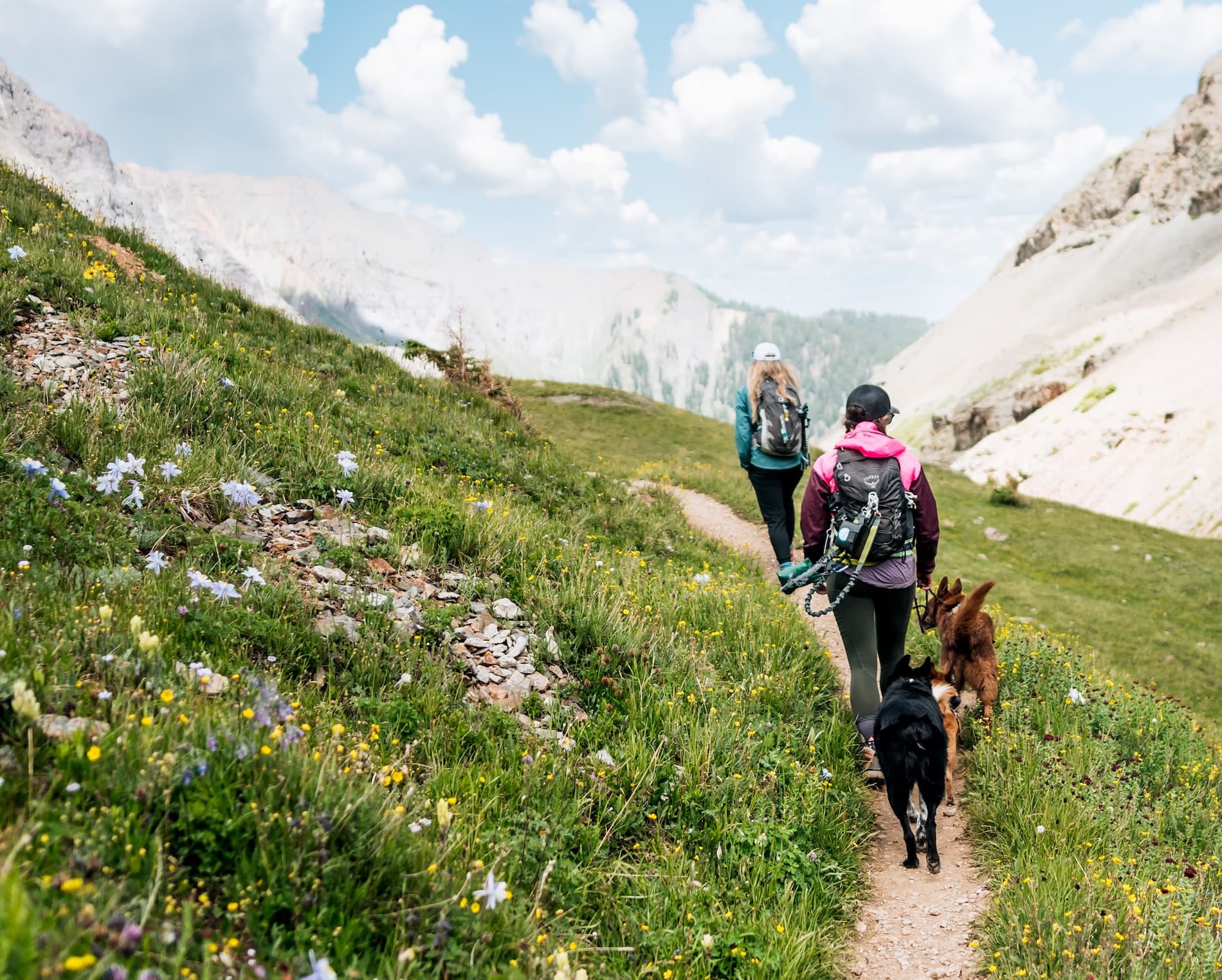 Walk Calmly. Walk Confidently. Walk Together.