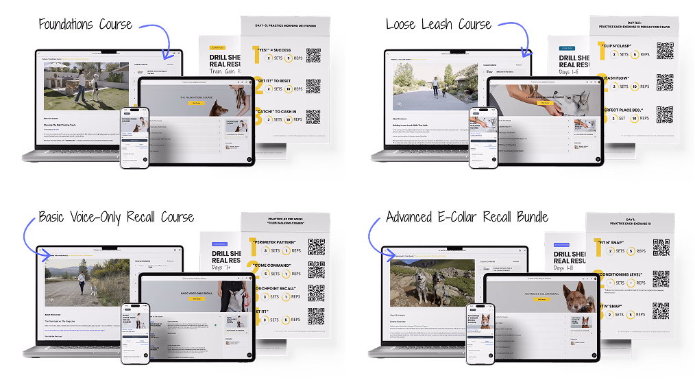 All Course Bundle course preview