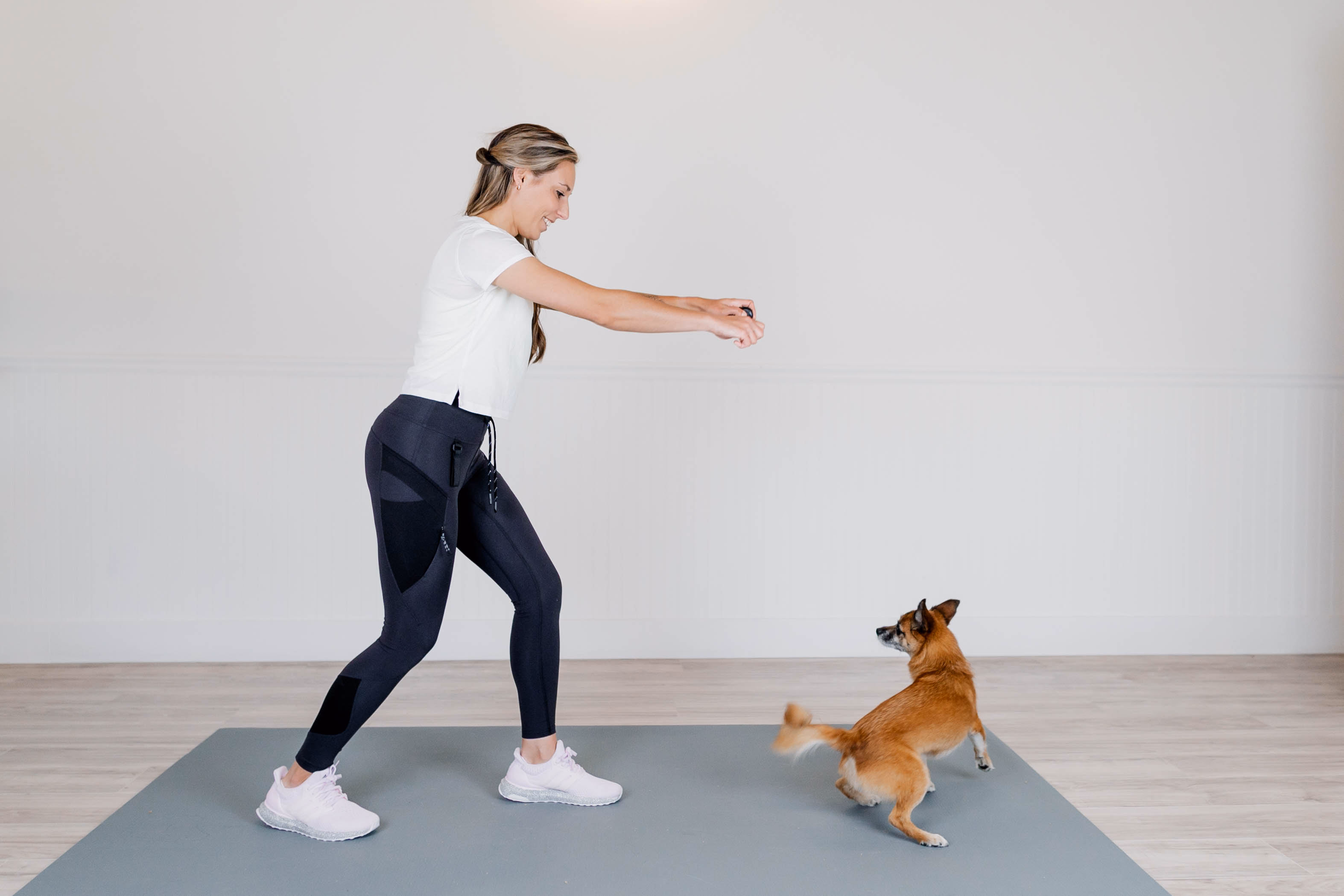 Dog trainer working with dog outdoors