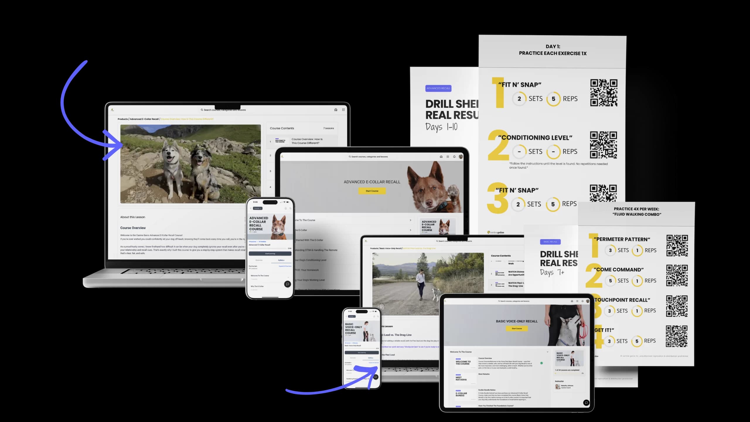 Advanced E-Collar Recall Bundle course preview