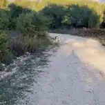 The Runner
